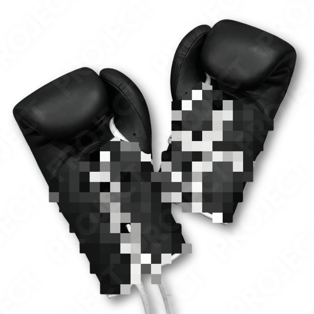Gants de Boxe PRO - SPARTARD RageOne "PROJECT"