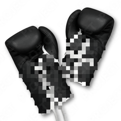 Gants de Boxe PRO - SPARTARD RageOne "PROJECT"