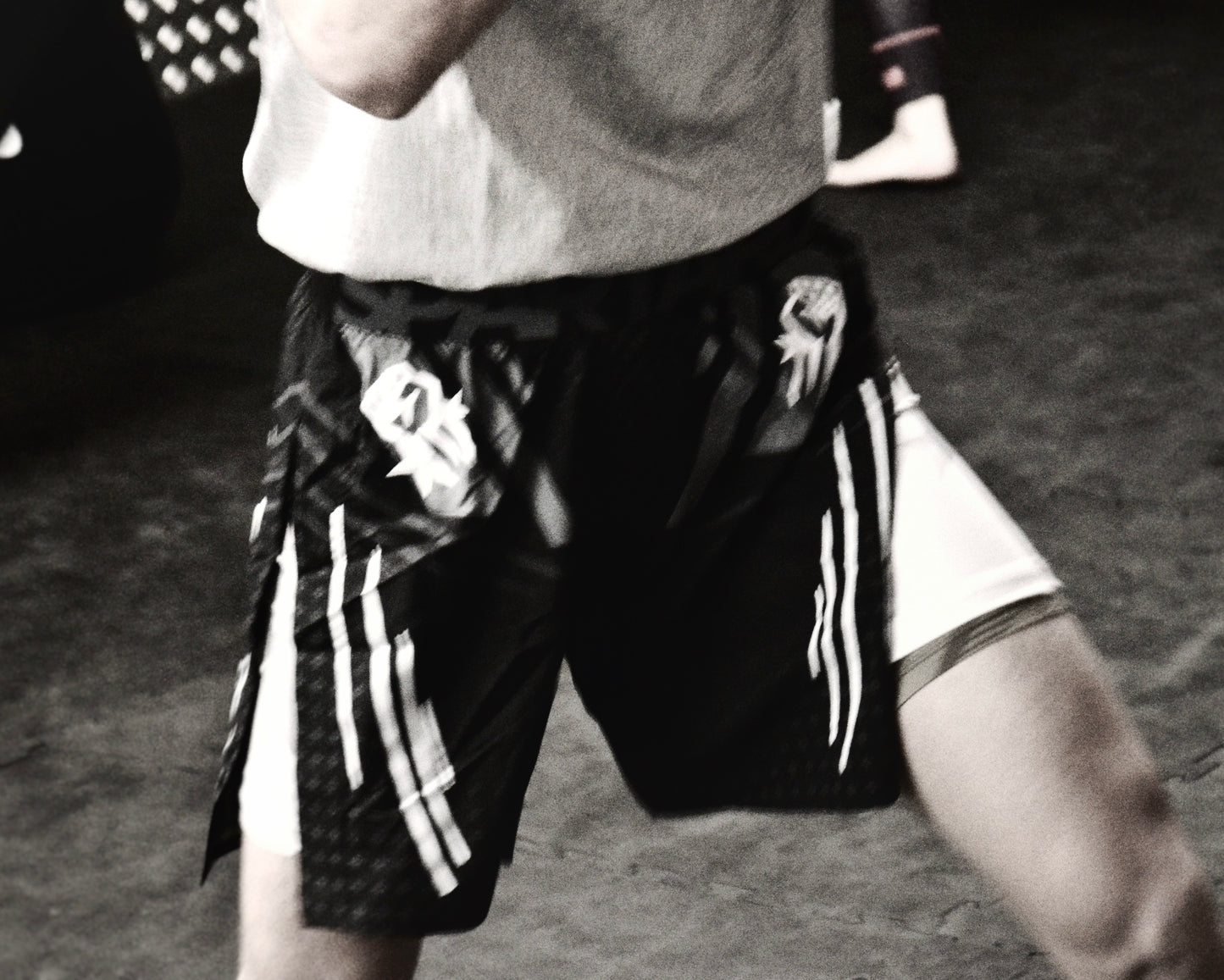 Short MMA - SPARTARD Gladiator